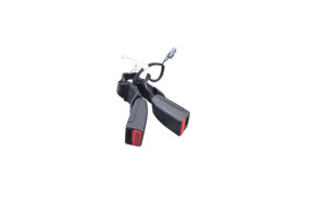 Attache ceinture arriere gauche RENAULT CAPTUR 2 Photo n°1
