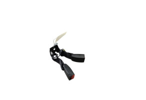 Attache ceinture arriere gauche RENAULT ARKANA Photo n°1