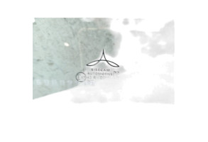 Vitre arriere gauche RENAULT CLIO 5 Photo n°2