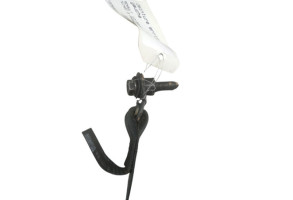 Ceinture arriere gauche RENAULT TWINGO 3 Photo n°2
