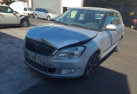 Porte arriere droit SKODA FABIA 2 Photo n°20