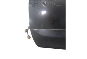 Porte avant gauche RENAULT KOLEOS 1 Photo n°7