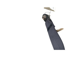Ceinture arriere droit RENAULT KOLEOS 1 Photo n°3