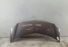 Capot RENAULT GRAND MODUS Photo n°1