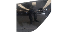 Porte arriere gauche RENAULT SCENIC 3 Photo n°7