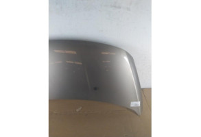 Capot PEUGEOT 3008 1 Photo n°4