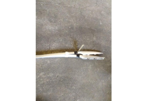Galerie de toit RENAULT CLIO 3 Photo n°3