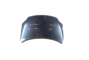 Capot VOLKSWAGEN GOLF PLUS Photo n°1