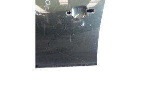 Porte avant gauche OPEL INSIGNIA 1 Photo n°10