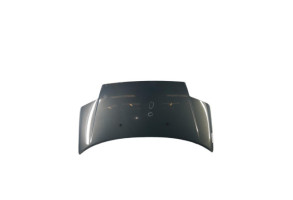 Capot CITROEN C2 Photo n°3