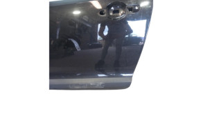Porte avant gauche RENAULT MEGANE 3 Photo n°1