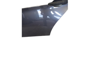 Porte arriere gauche BMW SERIE 3 E90 Photo n°3