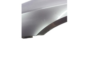 Aile avant gauche RENAULT LAGUNA 2 Photo n°6