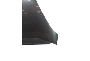 Capot CITROEN C4 GRAND PICASSO 1 Photo n°2