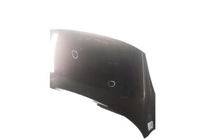 Capot RENAULT GRAND SCENIC 3 Photo n°5