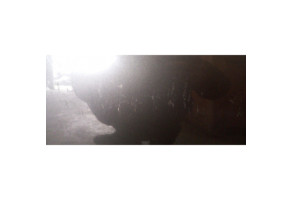 Porte avant droit OPEL CORSA D Photo n°10