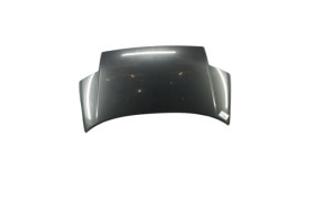 Capot CITROEN C2 Photo n°5