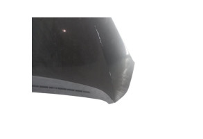 Capot PEUGEOT 1007 Photo n°3