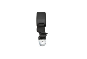 Attache ceinture arriere gauche CITROEN C1 2 Photo n°1