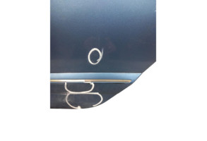 Porte arriere gauche HONDA CIVIC 8 Photo n°6