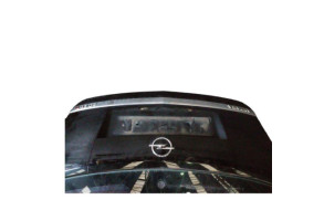 Malle/Hayon arriere OPEL ANTARA Photo n°1