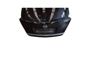 Malle/Hayon arriere OPEL ANTARA Photo n°5