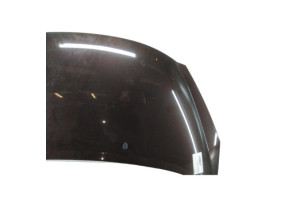 Capot PEUGEOT 207 Photo n°4