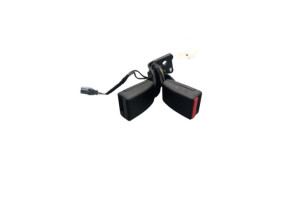 Attache ceinture arriere centrale RENAULT ZOE Photo n°2
