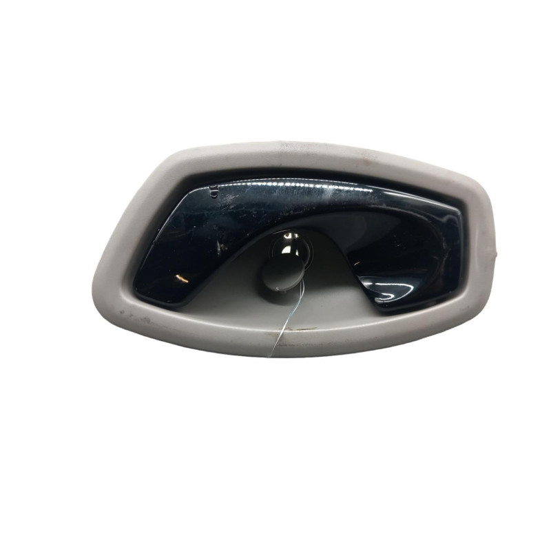 Poignee interieur avant gauche RENAULT ZOE Photo n°1