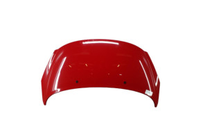 Capot PEUGEOT 207 Photo n°2