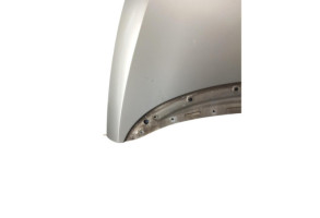 Capot SEAT TOLEDO 3 Photo n°1