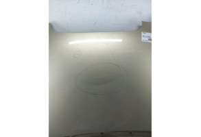 Capot SEAT TOLEDO 3 Photo n°5