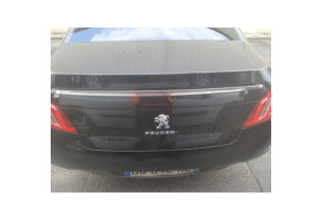 Eclairage de plafonnier PEUGEOT 508 1 Photo n°5