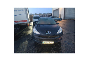 Glace retroviseur gauche PEUGEOT 206+ Photo n°3