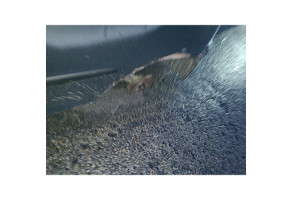 Glace retroviseur gauche PEUGEOT 206+ Photo n°7