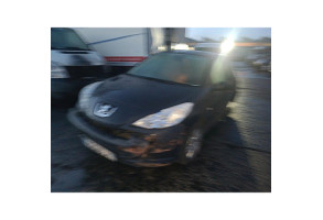 Glace retroviseur gauche PEUGEOT 206+ Photo n°9