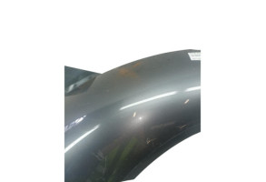 Aile avant gauche VOLKSWAGEN NEW BEETLE 1 Photo n°1