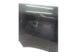 Porte arriere droit BMW X6 E71 Photo n°10