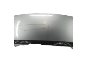 Capot FIAT SCUDO 2 Photo n°2