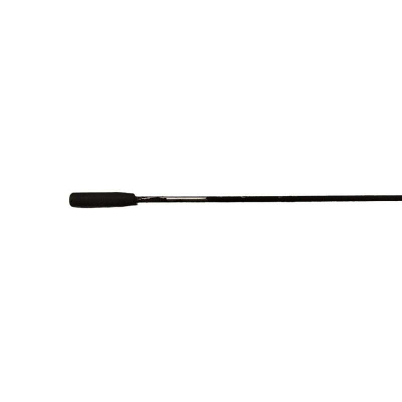 Antenne FIAT DOBLO 1 Photo n°1