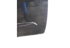 Porte avant droit CITROEN C4 PICASSO 1 Photo n°9