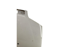 Capot FIAT PUNTO 2 Photo n°2