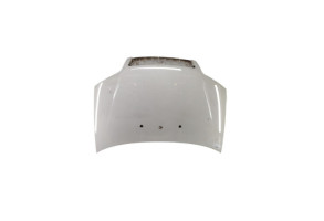 Capot FIAT PUNTO 2 Photo n°5