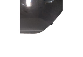 Porte arriere gauche RENAULT MEGANE 3 Photo n°4