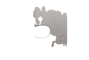 Porte arriere gauche RENAULT MEGANE 3 Photo n°5