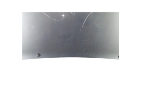 Capot PEUGEOT EXPERT 1 Photo n°7