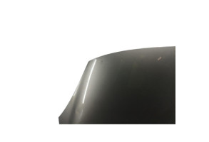 Capot RENAULT GRAND SCENIC 3 Photo n°1