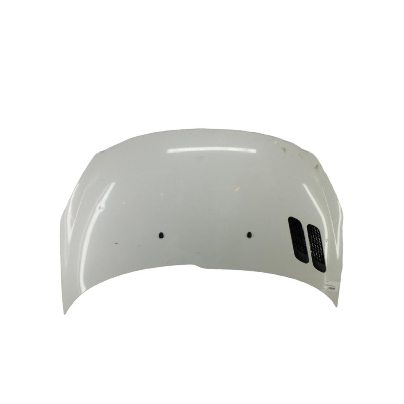 Capot PEUGEOT 206+ Photo n°1