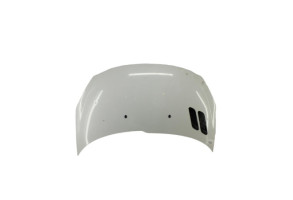 Capot PEUGEOT 206+ Photo n°1