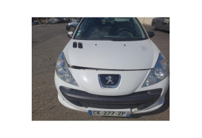 Capot PEUGEOT 206+ Photo n°11